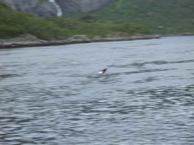 Hurtigruten_2015-06-25_16-29-4